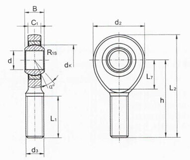 Extremidade do PEIXE-AGULHA. .UK 2RS Rod, extremidade GAR6UK de China Rod, GAR8UK, GAR10UK, GAR12UK, GAR15UK, GAR17UK (2RS)
