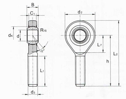 Extremidade do SA. .BK Rod, extremidade SA5BK de China Rod, SA6BK, SA8BK, SA10BK, SA12BK, SA14BK
