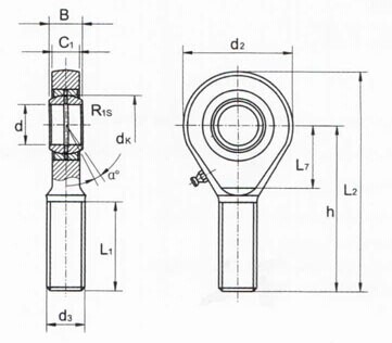 Extremidade do SA. .ES 2RS Rod, extremidade SA6E de China Rod, SA8E, SA10E, SA12E, SA15ES, SA17ES, SA20ES