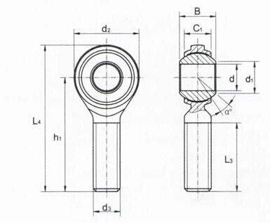 Extremidade do SA. .PK Rod, extremidade SA5PK de China Rod, SA6PK, SA8PK, SA10PK, SA12PK, SA14PK, SA16PK