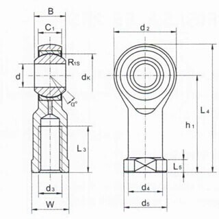 SI. Extremidade de Rod da série de T/K, extremidade SI5 T/K de China Rod, SI6T/K, SI8 T/K, SI10 T/K, SI10-1 T/K